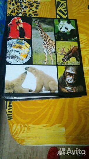 Книга Мир животных