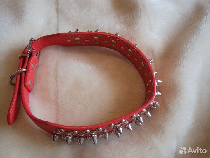 Ошейники для собак