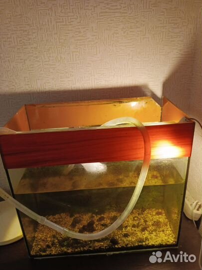 Аквариум 65л