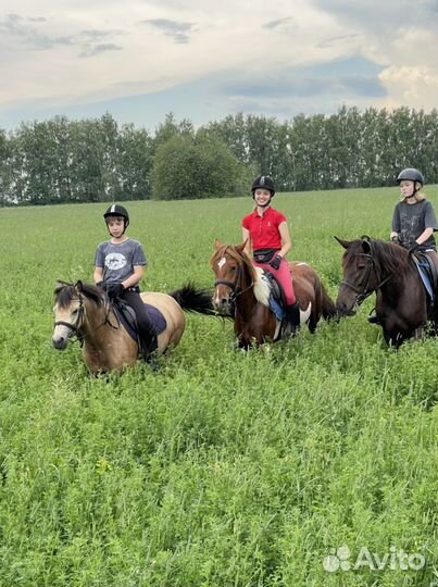 Постой, конные прогулки, фотосессии