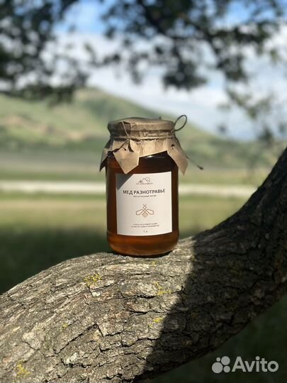 Мед горный/лесной чистый