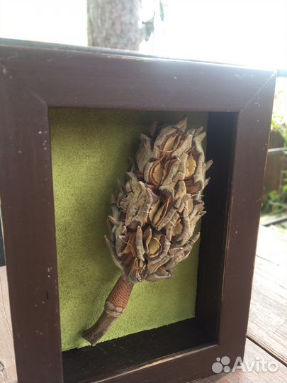 Натюрморт 3D)