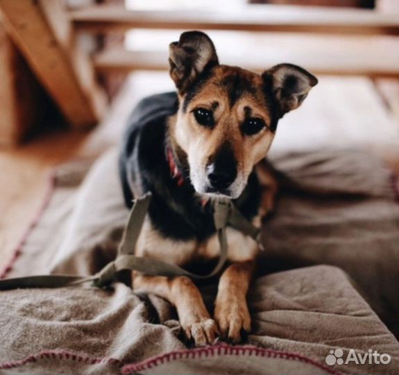 А часики тикают
