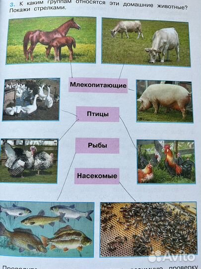 Окружающий мир Учебник + Рабочая тетрадь
