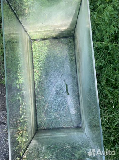 Аквариум. Даром