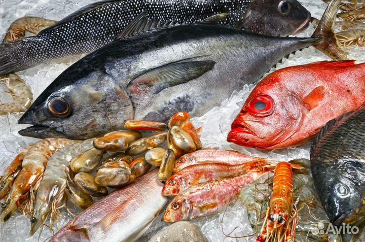 Франшиза рыбы и морепродуктов с прибылью