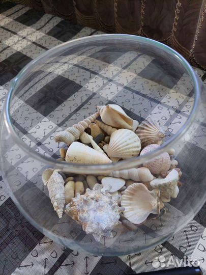 Аквариум круглый