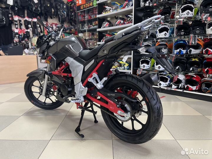 Regulmoto Raptor new