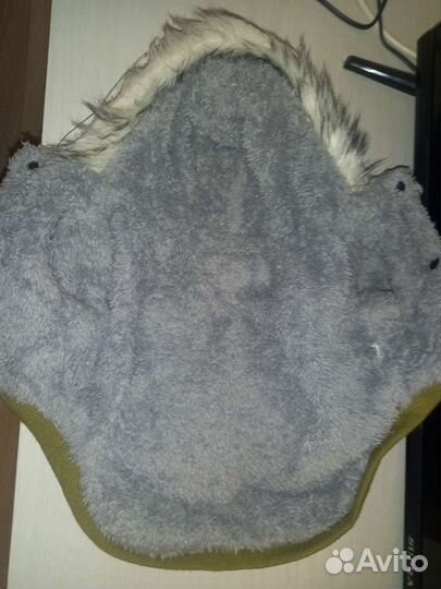 Одежда для собак