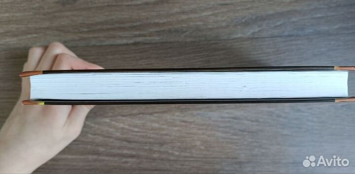 Книга Эрин Хантер Коты Воители: Обещание Метеора