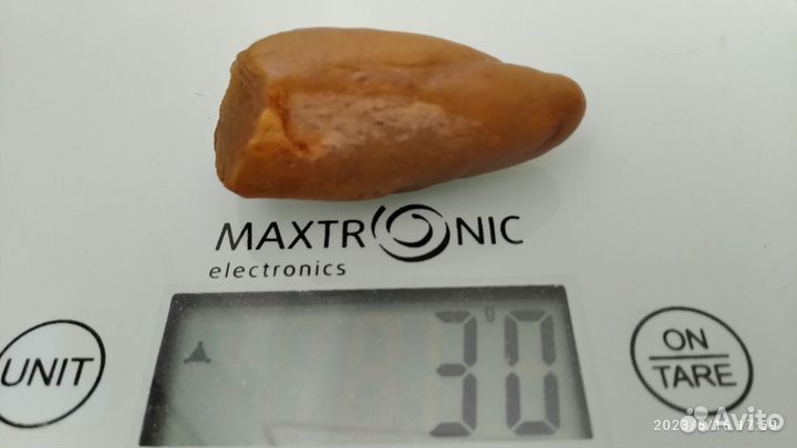 Зуб динозавра Carcharodontosaurus. Архозавра и др