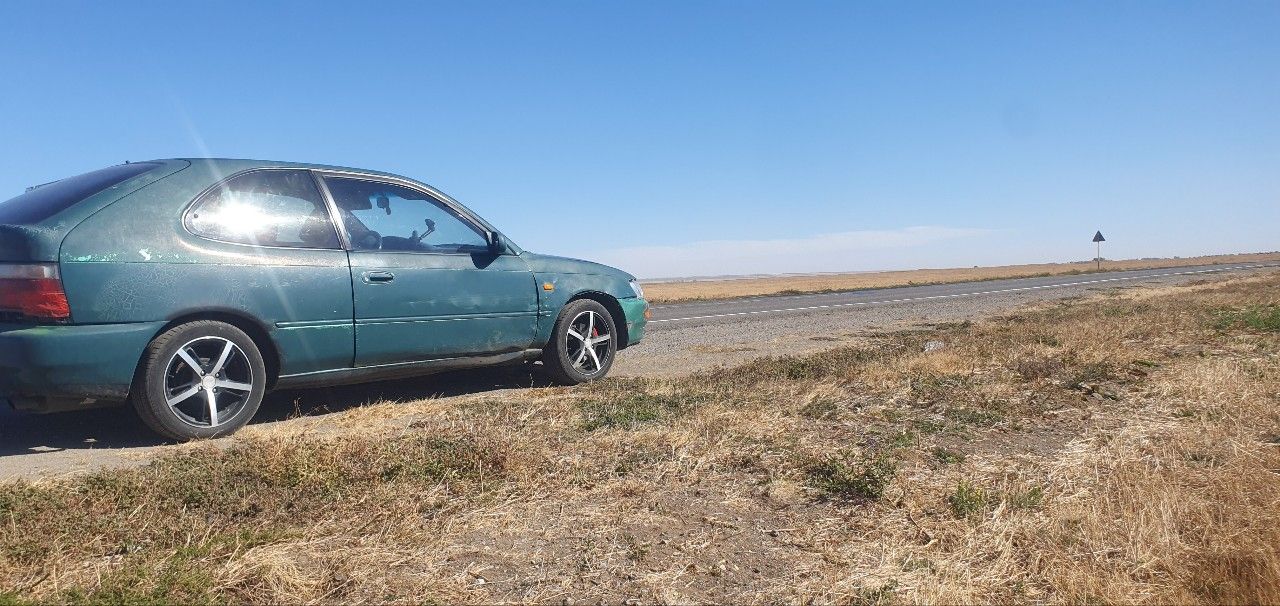 Toyota Corolla: фото из отзыва