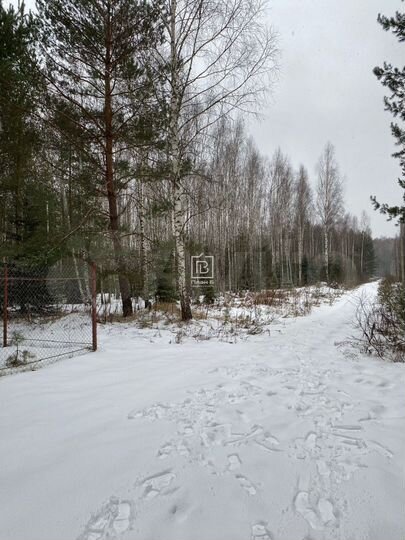 Участок 80 сот. (СНТ, ДНП)