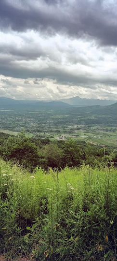 Участок 40 сот. (СНТ, ДНП)