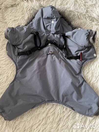 Одежда для собак мелких пород