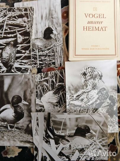 Открытки советские СССР почтовые карточки