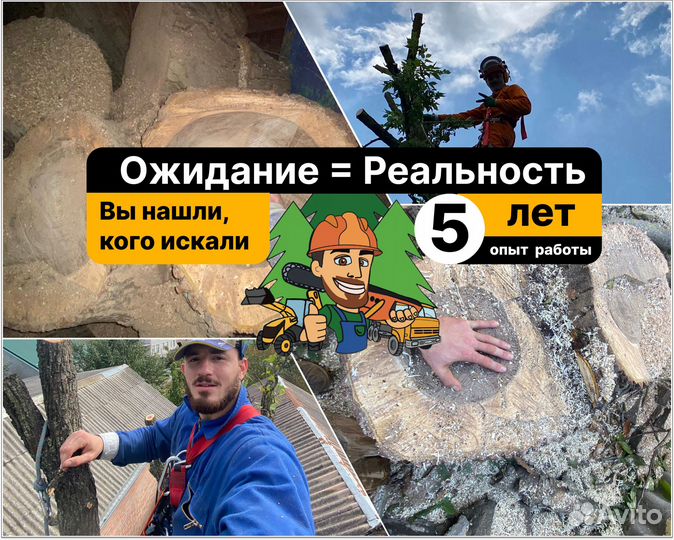 Спил деревьев / Удаление / Вывоз