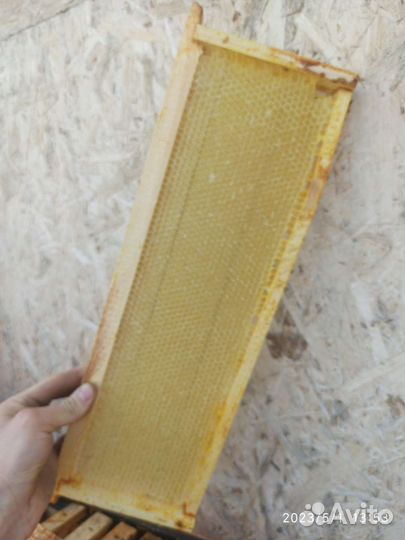 Сушь магазинная для пчел