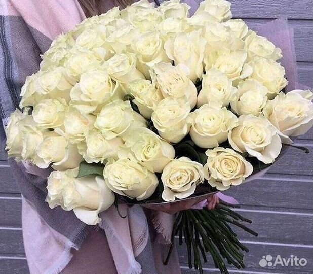 Высокие розы Доставка цветов