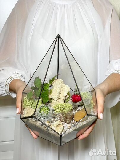 Флорариум кактусы подарок мужчине букет