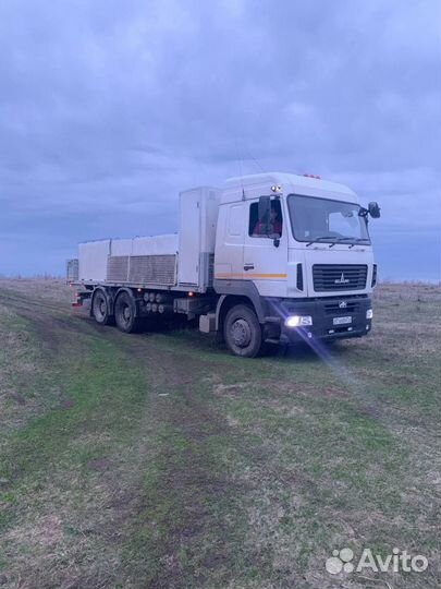 Живая рыба Карп Форель Сом