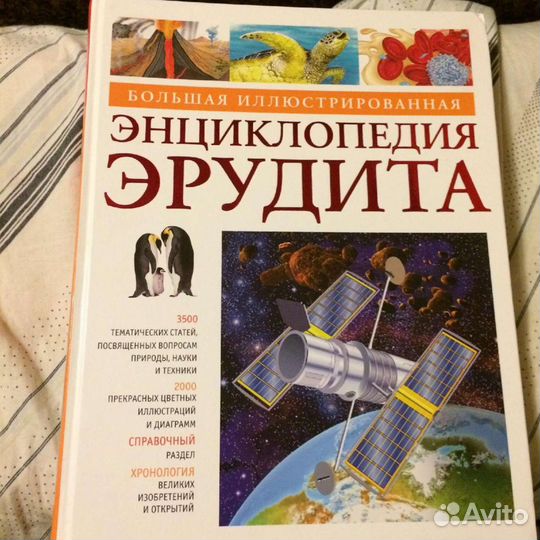 Детская энциклопедия эрудита