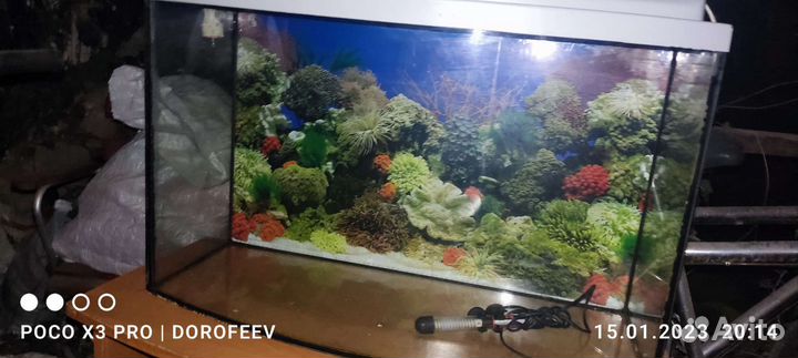 Аквариум-террариум