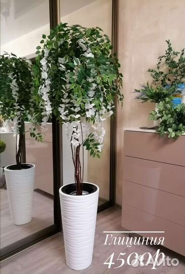 Деревья и зелень для интерьера