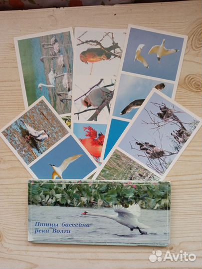 Набор открыток серии 