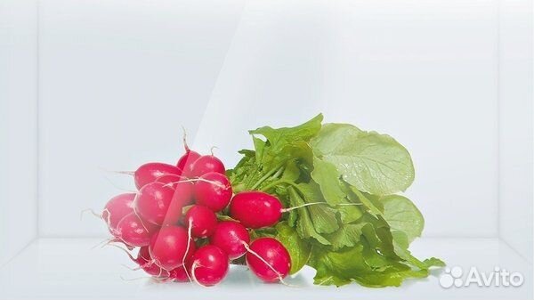 Холодильник Bosch KGV 39XC23R Новый