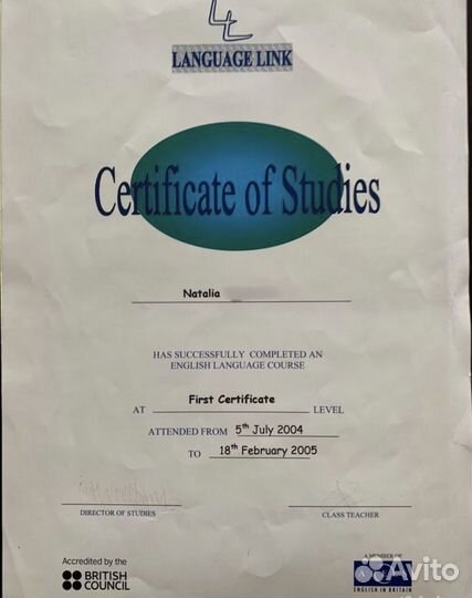 Бухгалтерская отчетность