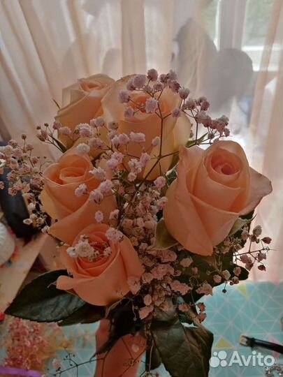 Перепечатка текста