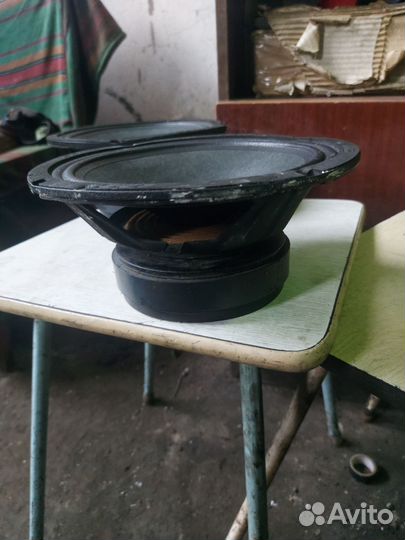 20 дюймовые динамики