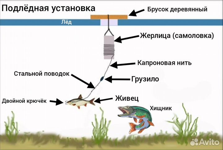 Жерлицы (самоловки) оснащенные+рейка для установки