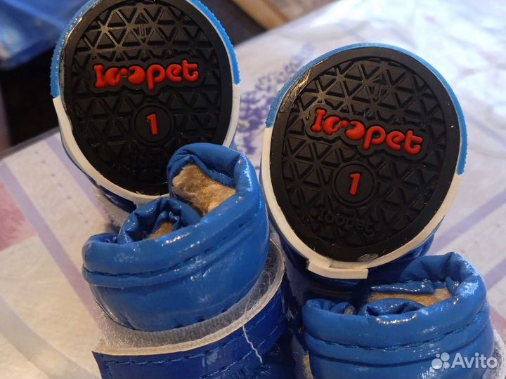 Обувь для маленьких собак