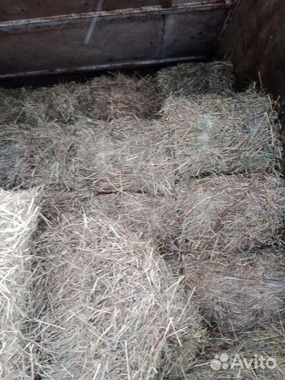 Сено в тюках + доставка