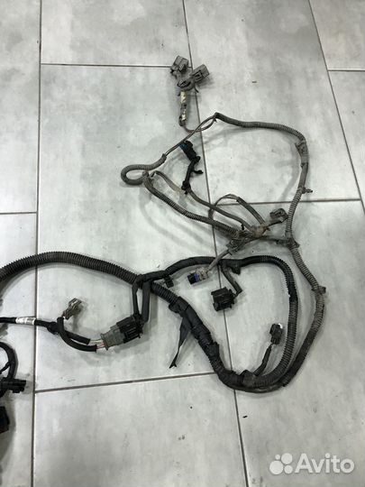 Проводка блока эбу Ford Focus 3 / Фокус