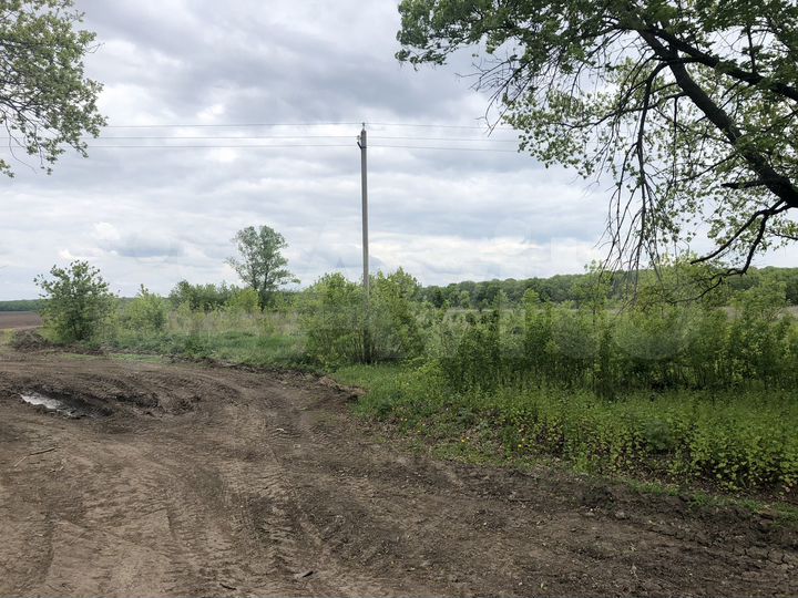 Участок 4,5 га (СНТ, ДНП)