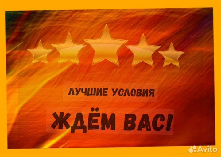 Этикеровщик без опыта Хорошие условия+Спецодежда