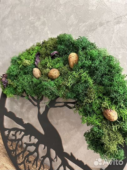 Картина из стабилизированного мха, панно