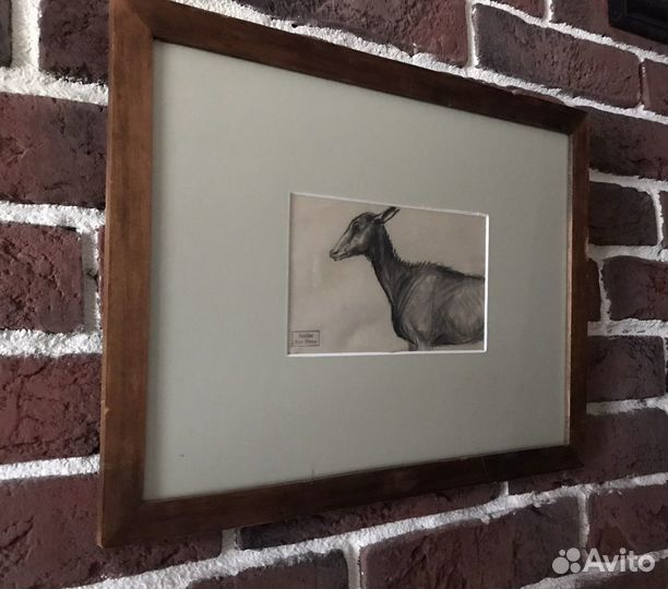 Рисунок с оленем/ Étude DE biche