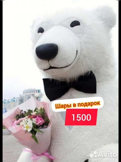 Поздравления белого мишки и панды