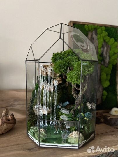 Флоририум или моссариум