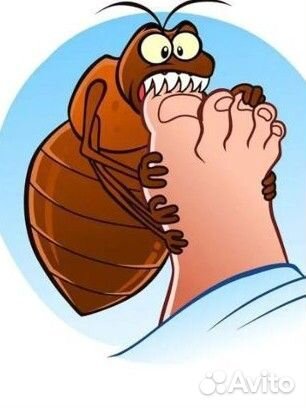 Профессиональная отрава, средство от насекомых