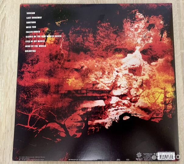 Виниловая пластинка wasp