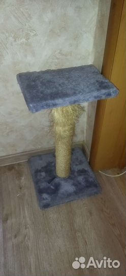 Когтеточка