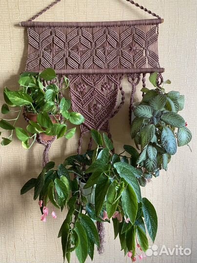 Настенное панно-кашпо/подвес для комнатных растени