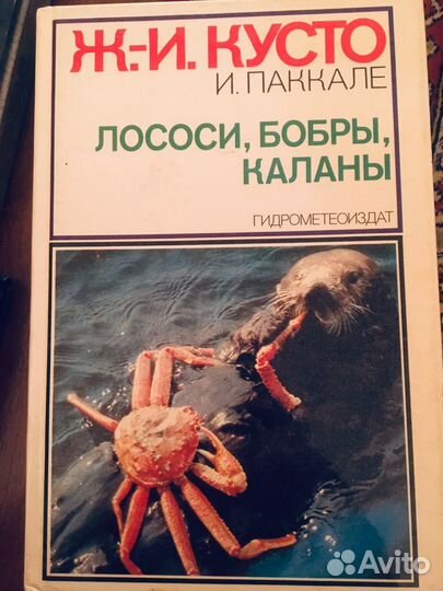 Ж-И Кусто