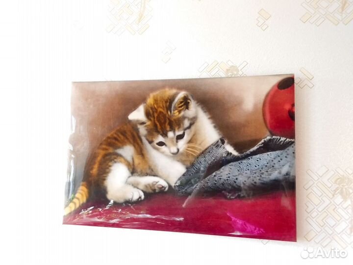 Фотокартина СССР «Котята» винтаж