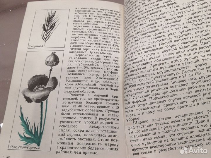 Наука и лекарственные растения